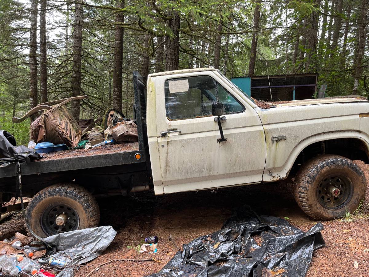 Ford-f-150-1986-white-1