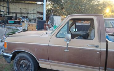 Ford-f-150-1988-brown-1