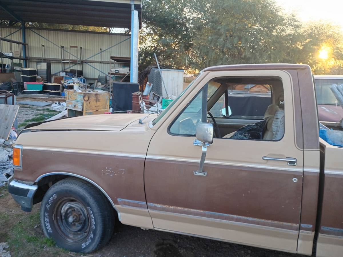 Ford-f-150-1988-brown-1