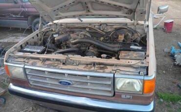 Ford-f-150-1988-brown-2