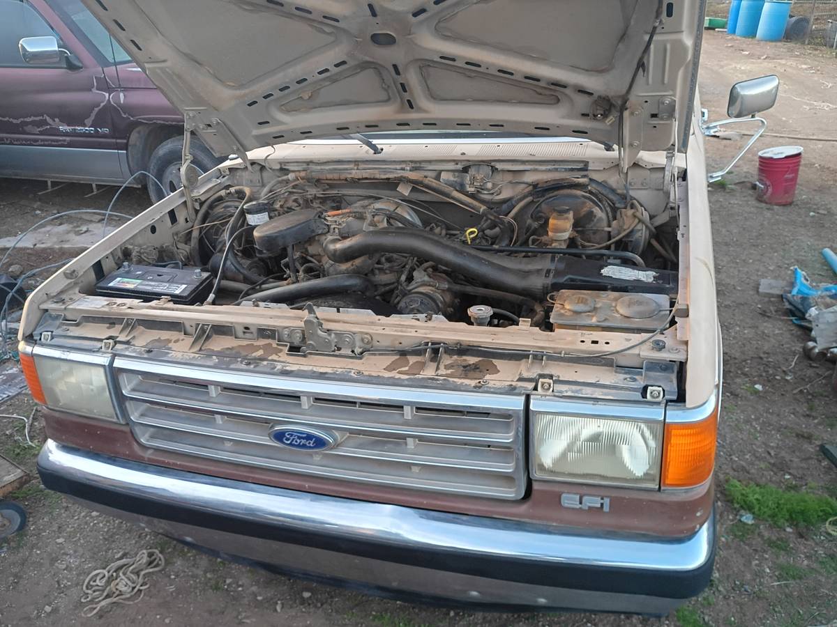 Ford-f-150-1988-brown-2