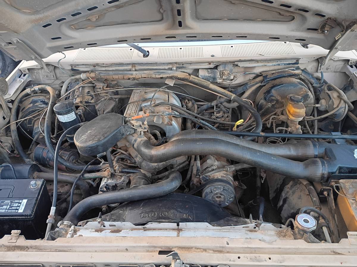 Ford-f-150-1988-brown-3