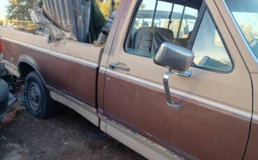Ford-f-150-1988-brown