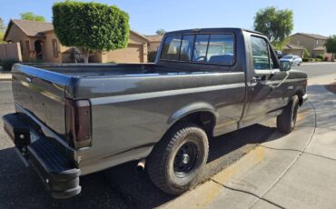 Ford-f-150-1988-grey-1