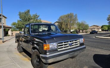 Ford-f-150-1988-grey