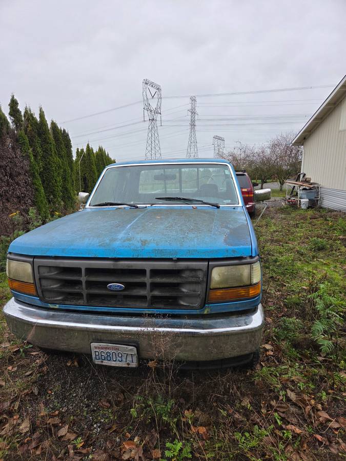 Ford-f-150-1990-blue-1