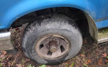 Ford-f-150-1990-blue-2