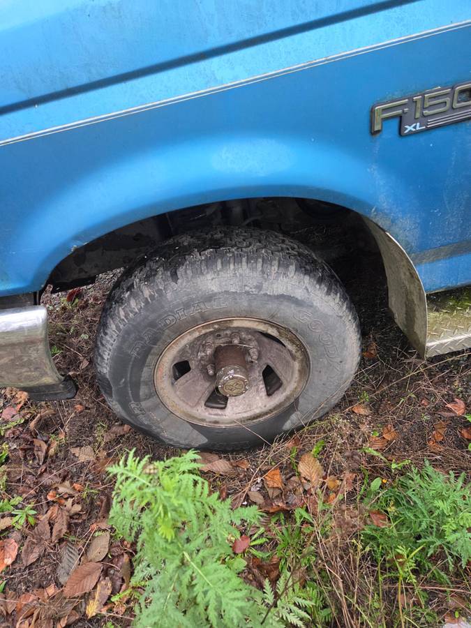 Ford-f-150-1990-blue-2