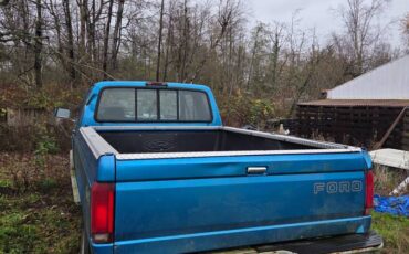 Ford-f-150-1990-blue-3