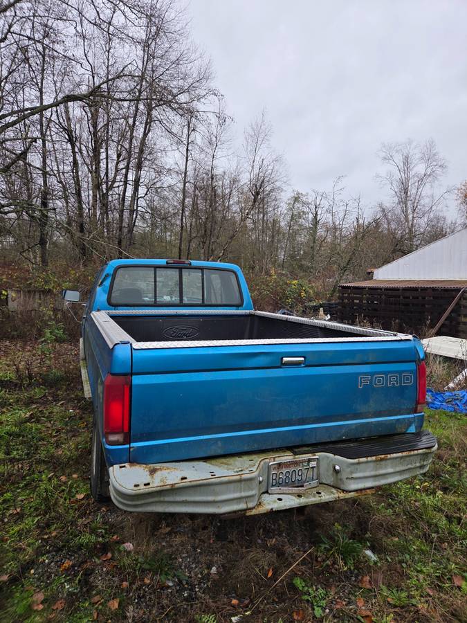 Ford-f-150-1990-blue-3