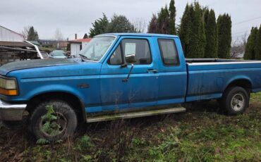 Ford-f-150-1990-blue