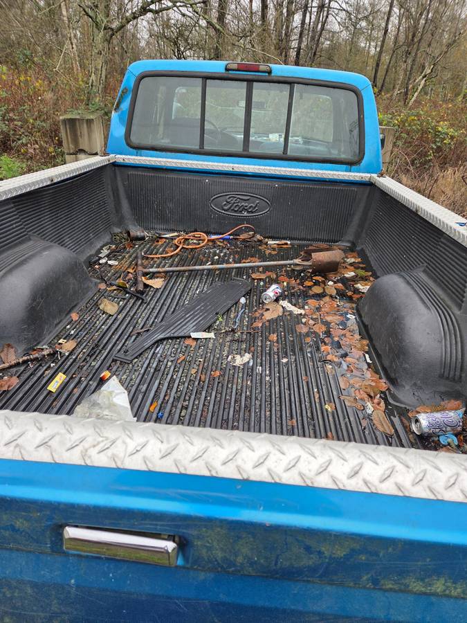 Ford-f-150-1990-blue-5