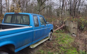 Ford-f-150-1990-blue-6