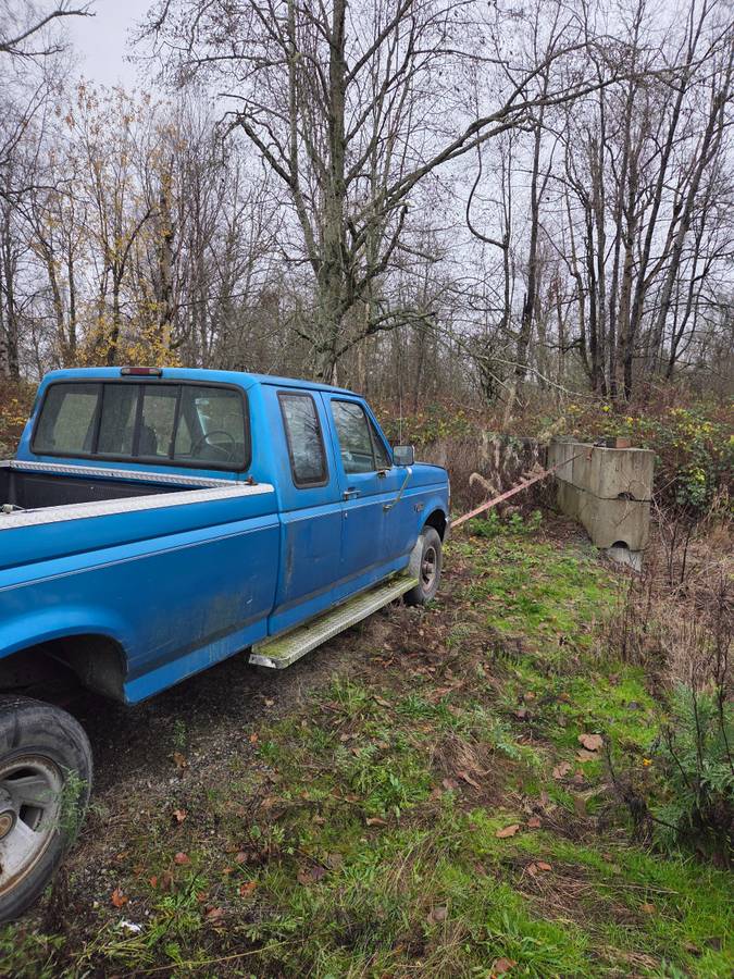 Ford-f-150-1990-blue-6