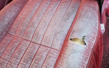 Ford-f-150-1990-white-2