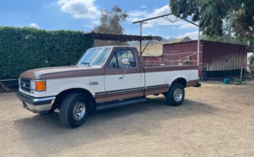 Ford-f-150-1991-brown-1