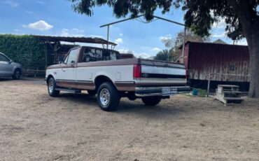 Ford-f-150-1991-brown-10