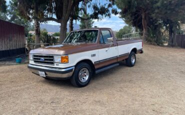Ford-f-150-1991-brown-12