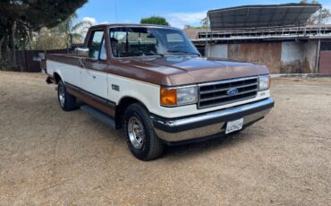 Ford-f-150-1991-brown-5