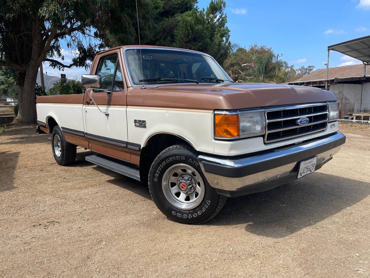 Ford-f-150-1991-brown-6