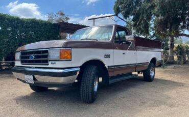 Ford-f-150-1991-brown-8