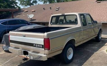 Ford-f-150-1992-brown-1