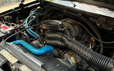 Ford-f-150-1994-black-10