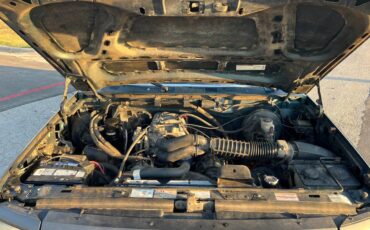 Ford-f-150-1994-green-10