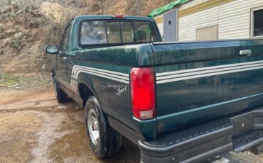 Ford-f-150-1994-green-6