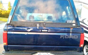Ford-f-150-1995-blue-1