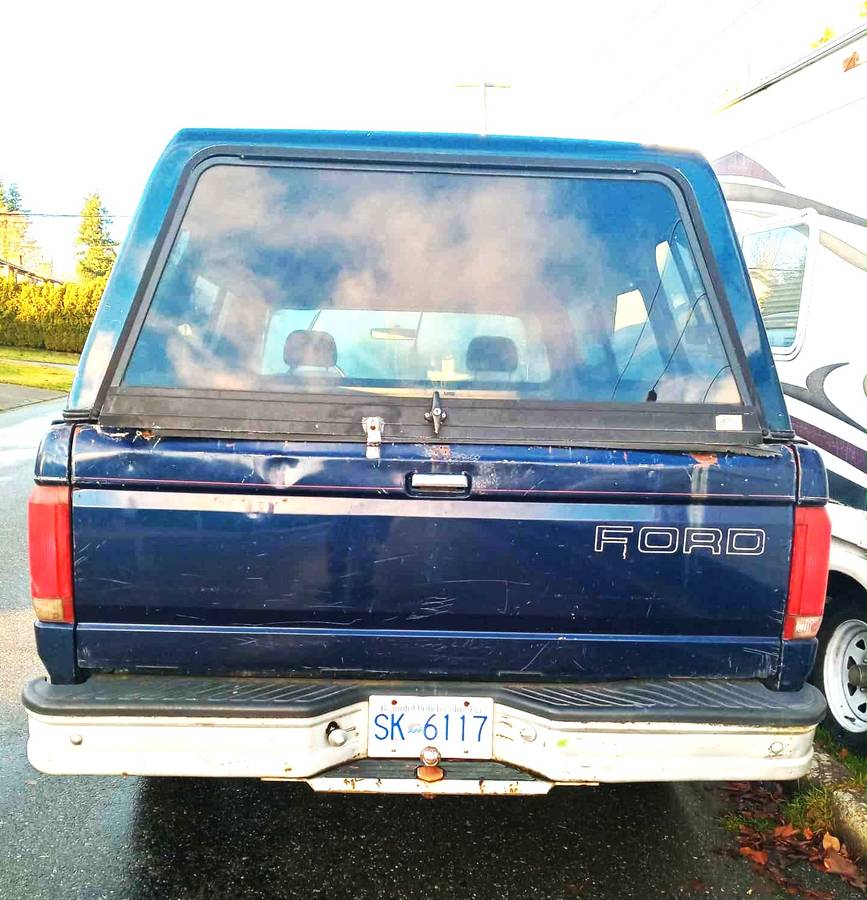 Ford-f-150-1995-blue-1