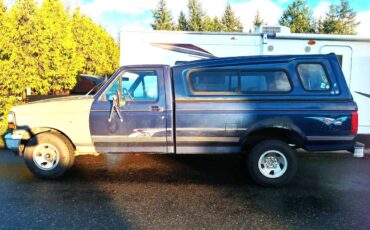 Ford-f-150-1995-blue-2