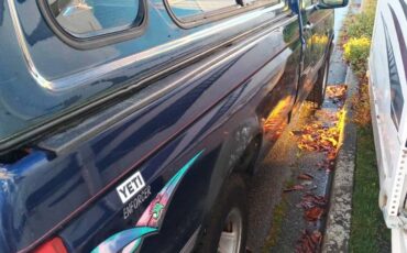 Ford-f-150-1995-blue-3