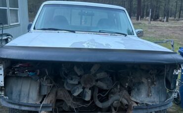 Ford-f-150-1995-white-2