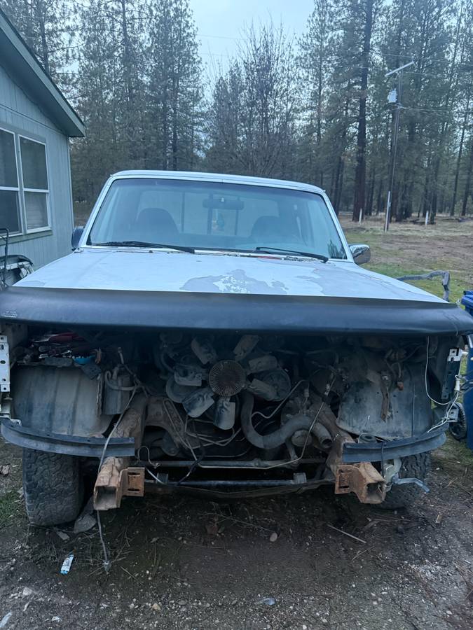 Ford-f-150-1995-white-2