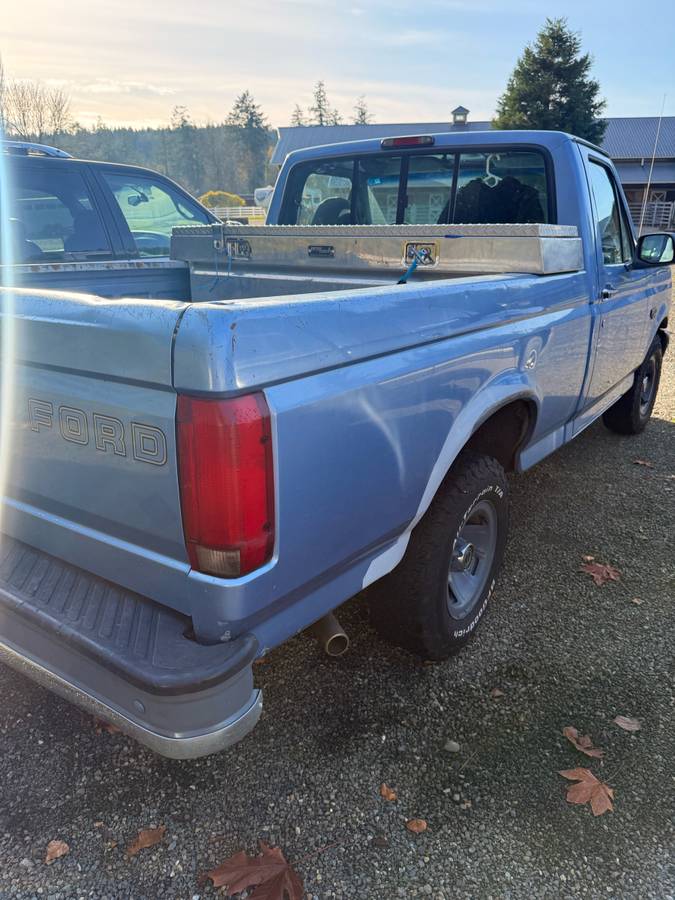Ford-f-150-1996-blue