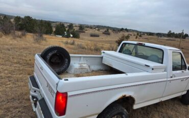 Ford-f-150-1996-white-8