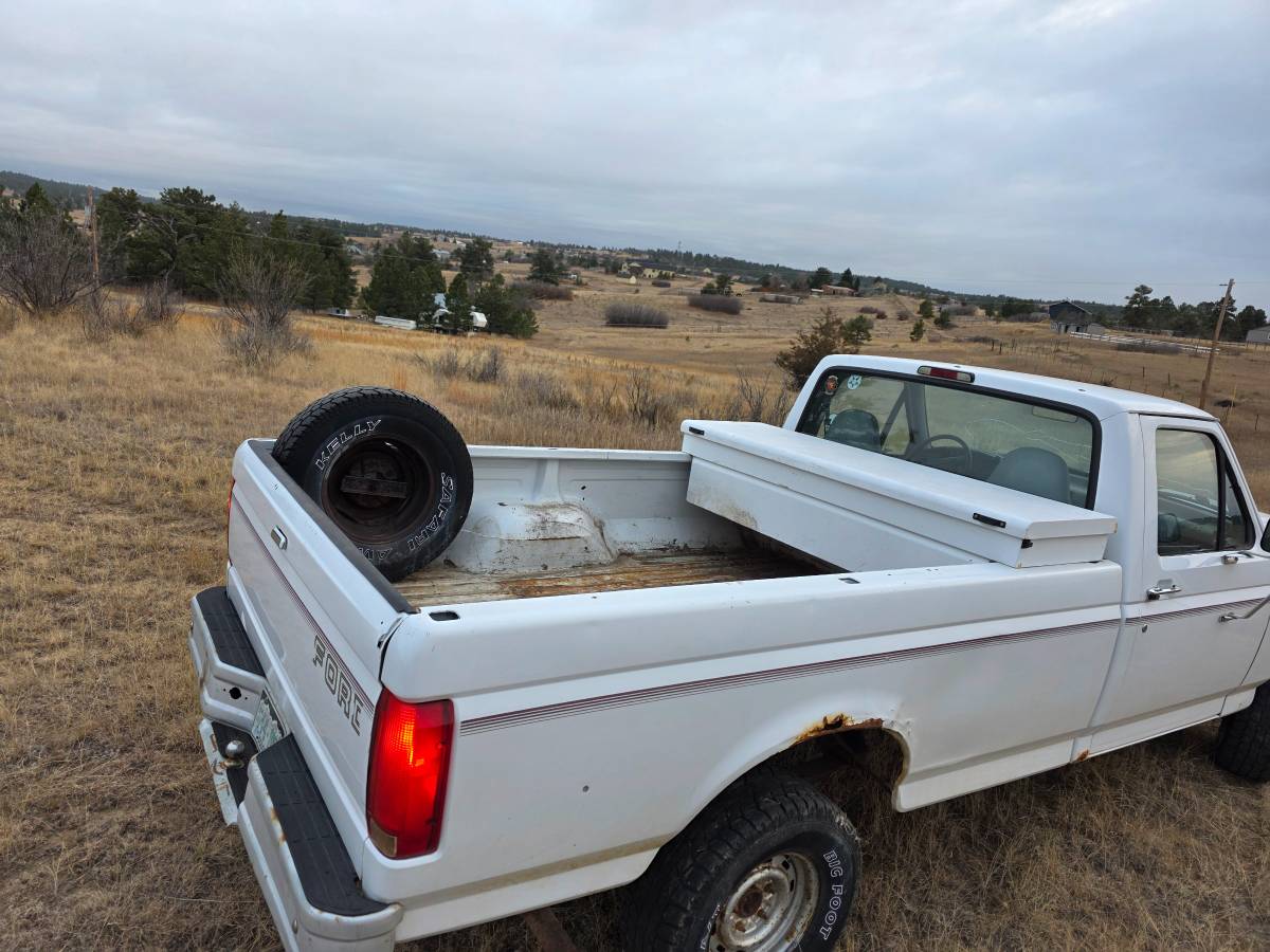 Ford-f-150-1996-white-8