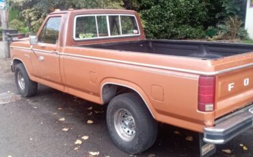 Ford-f-150-ranger-1981-orange-10