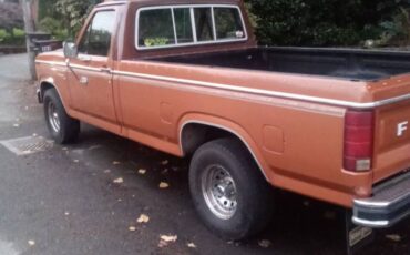 Ford-f-150-ranger-1981-orange-2