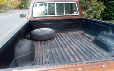 Ford-f-150-ranger-1981-orange-4