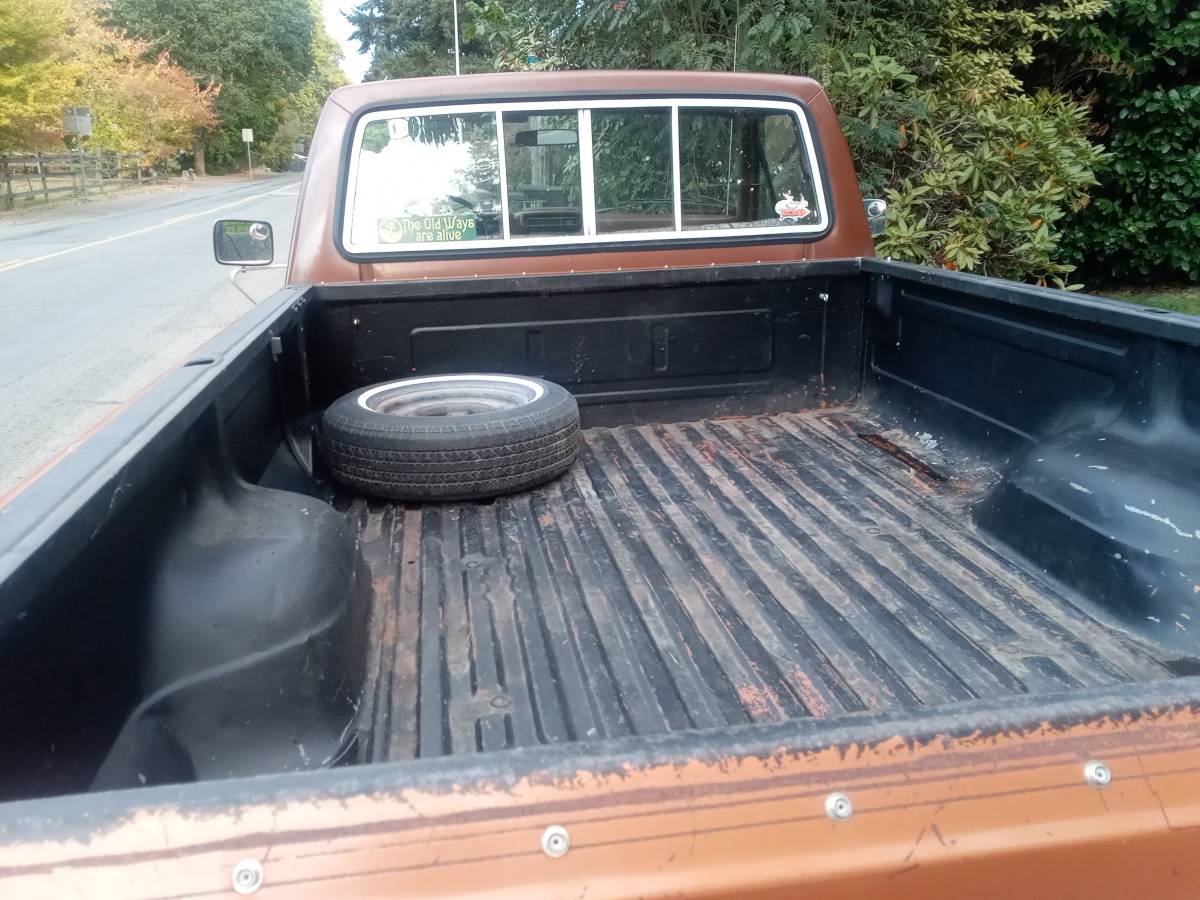Ford-f-150-ranger-1981-orange-4