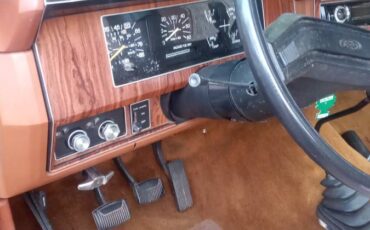 Ford-f-150-ranger-1981-orange-6