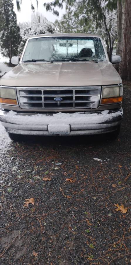 Ford-f-150-xlt-lariat-1992-brown-2