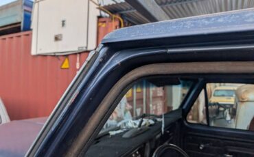 Ford-f-250-1976-blue-16