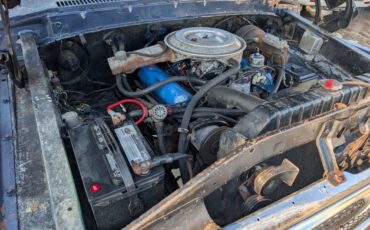 Ford-f-250-1976-blue-23