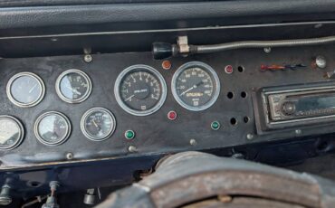 Ford-f-250-1976-blue-9