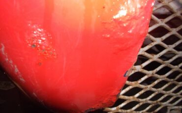 Ford-f-250-1977-red-8