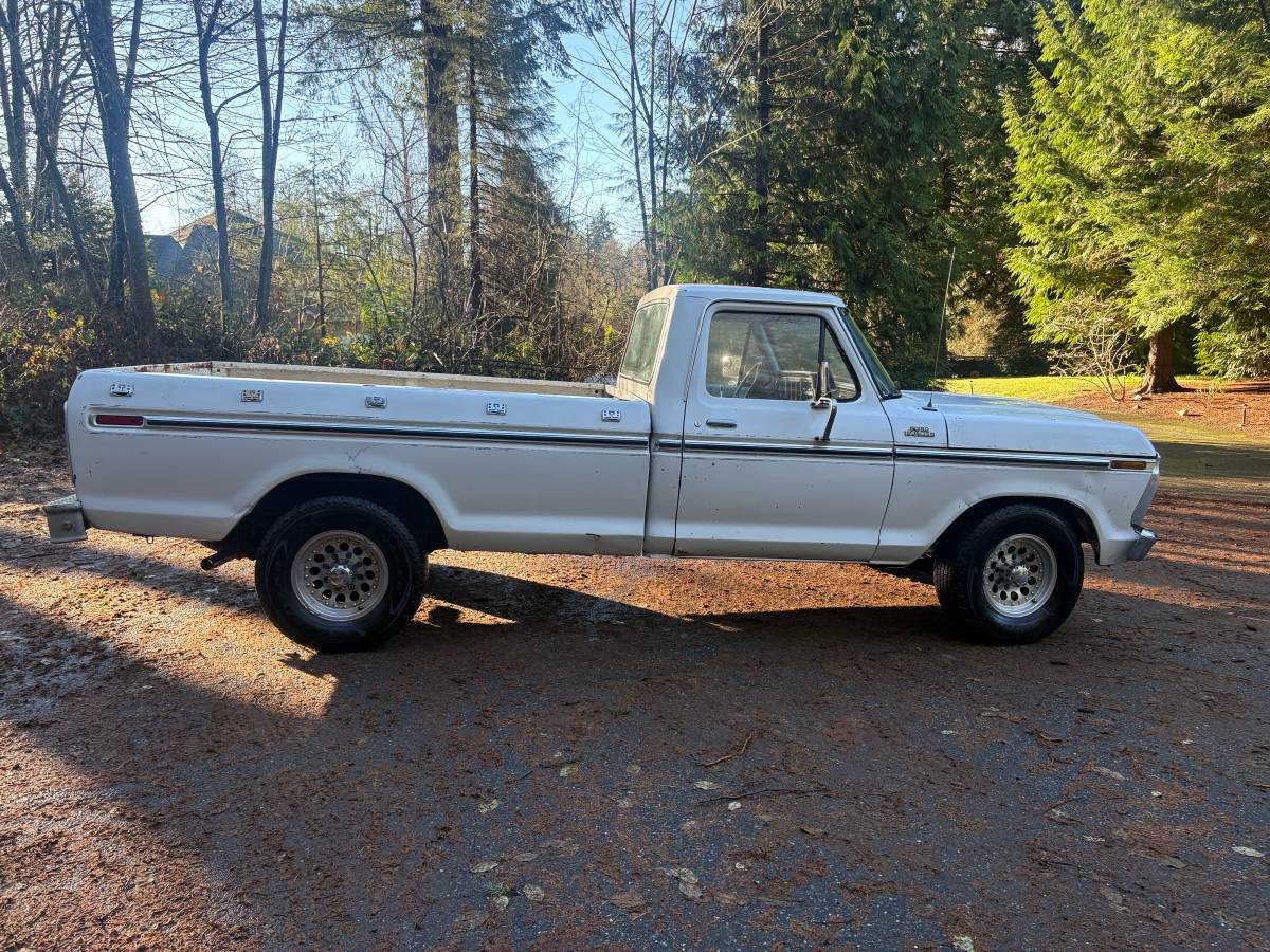 Ford-f-250-1977-white-10
