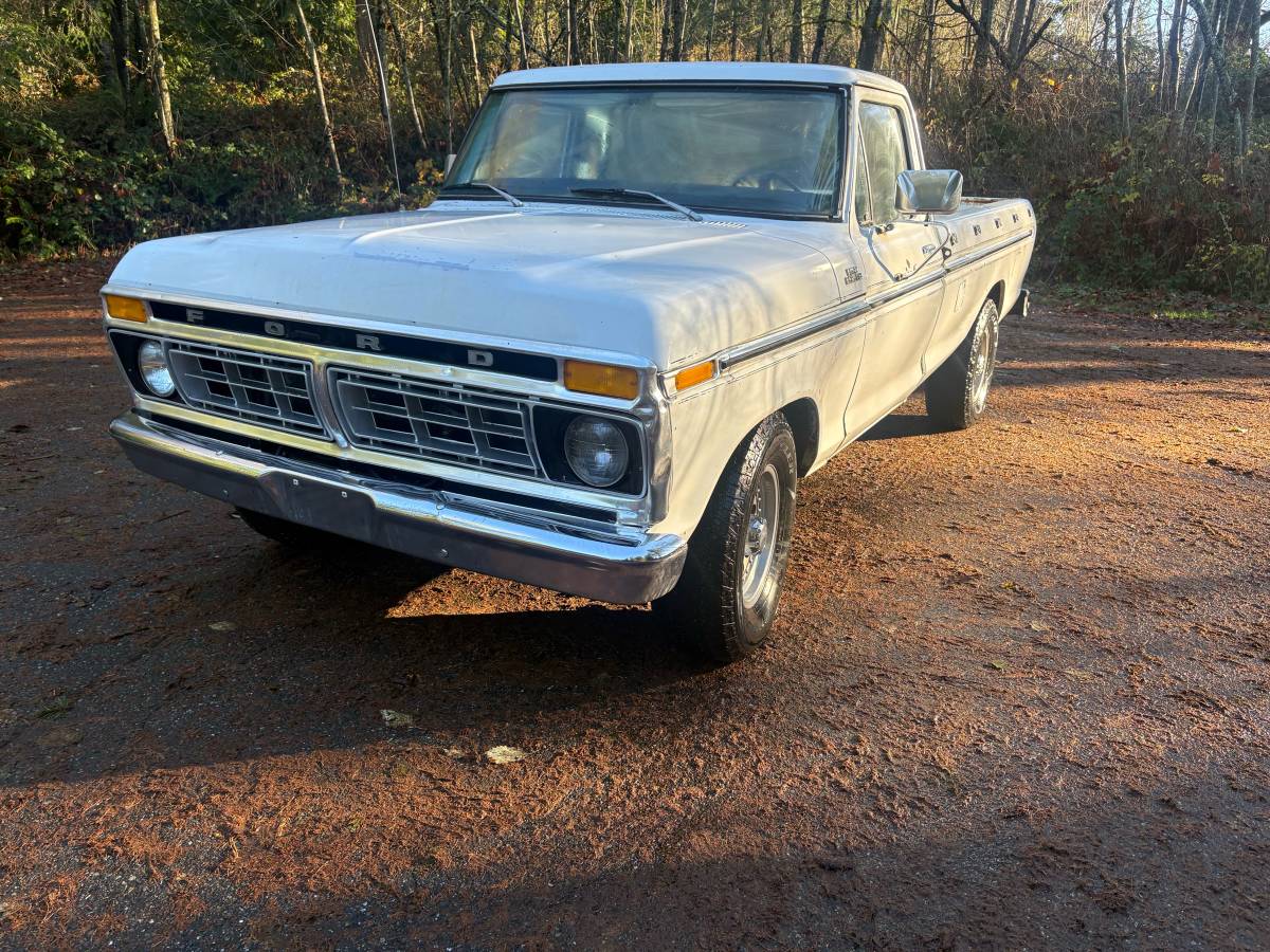 Ford-f-250-1977-white